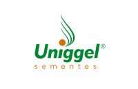 First Energy Clientes